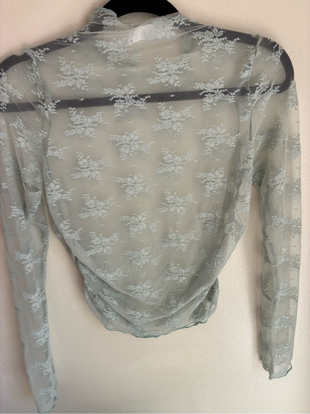 Sheer Floral Lace Long-Sleeve Top in Sage Green